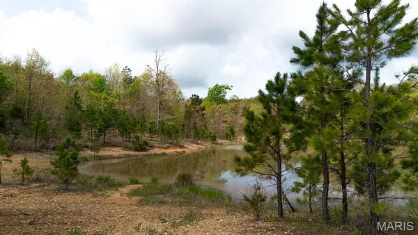 $23,900 | 0 Sargent Road, Cabool, MO 65689