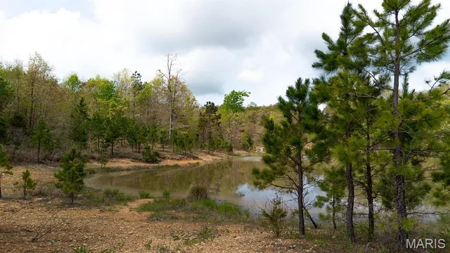 $24,900 | 0 Sargent Road, Cabool, MO 65689