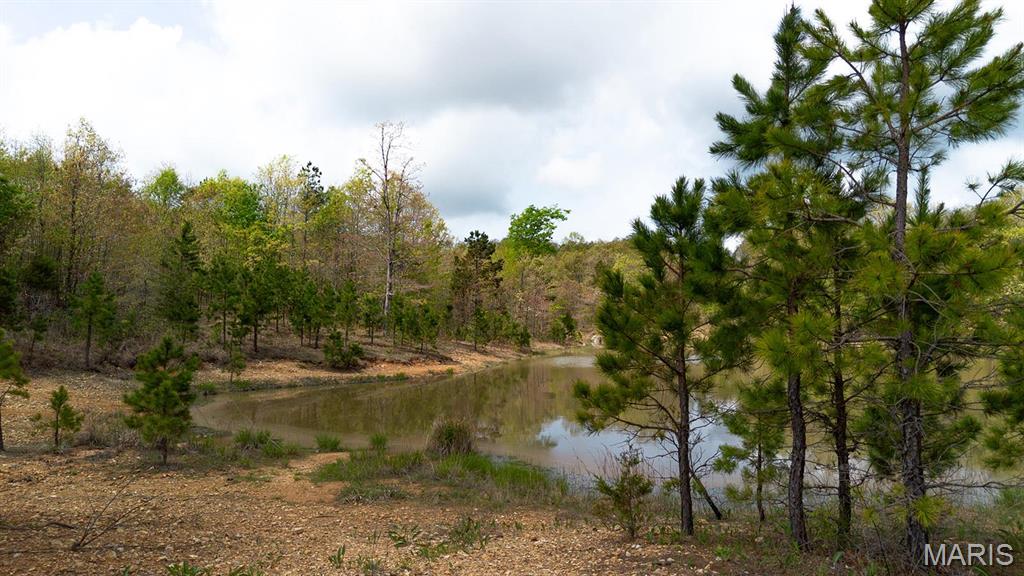 0 Sargent Road Cabool, MO 65689 - Photo 33 of 35