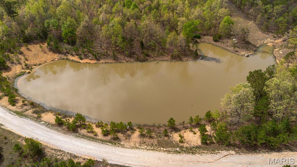 0 Sargent Road Cabool, MO 65689 - Photo 34 of 35