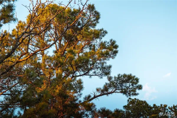 $23,900 | 0 Sargent Road, Cabool, MO 65689