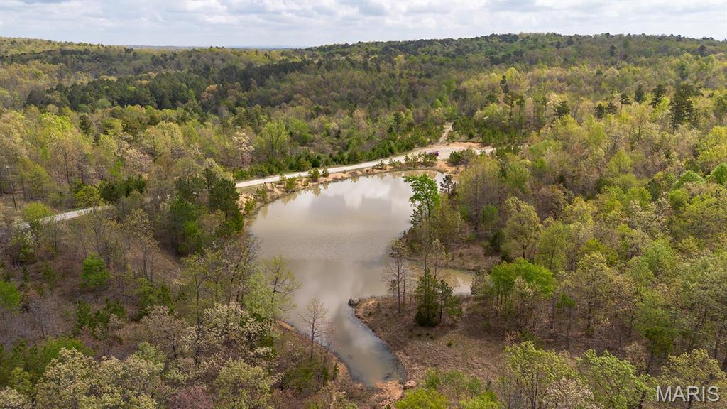 0 Sargent Road Cabool, MO 65689 - Photo 9 of 35