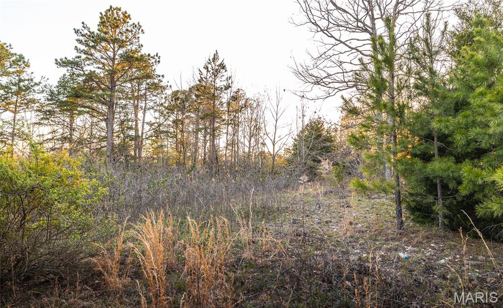 0 Sargent Road Cabool, MO 65689 - Photo 10 of 35