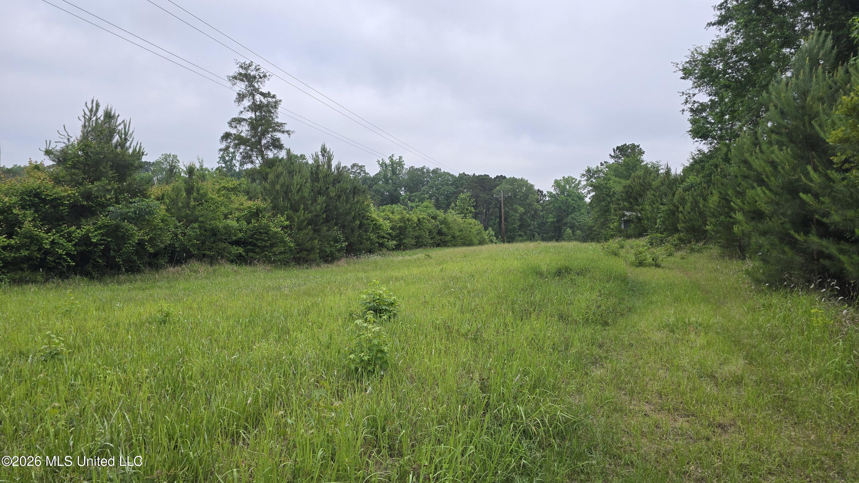 189 Co Road Bay Springs, MS 39422 - Photo 8 of 61 20260513_103044