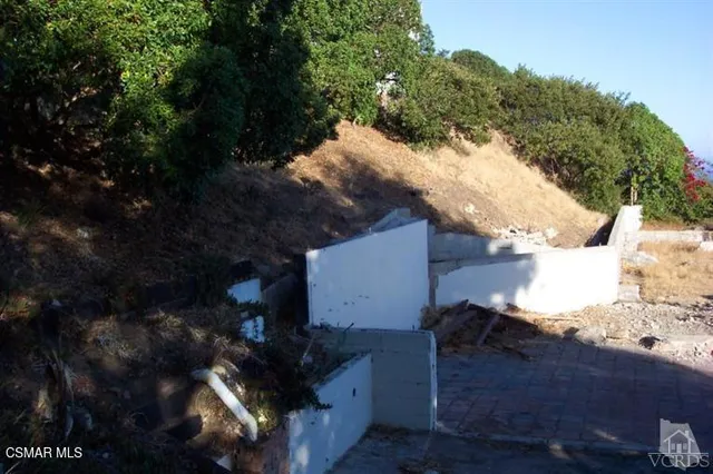 a view of a yard with a tree