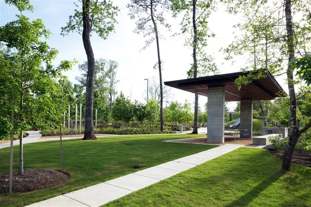 a view of a park with trees and plants