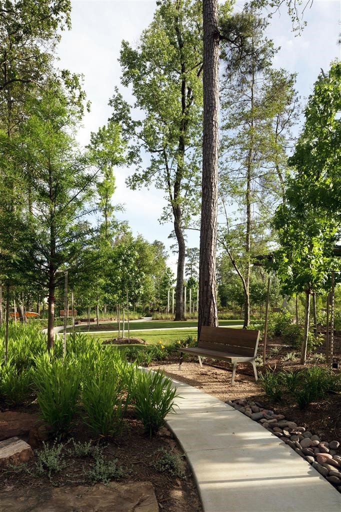4746 Cascade Rdg Drive Spring, TX 77386 - Photo 10 of 11 a view of a park with large trees