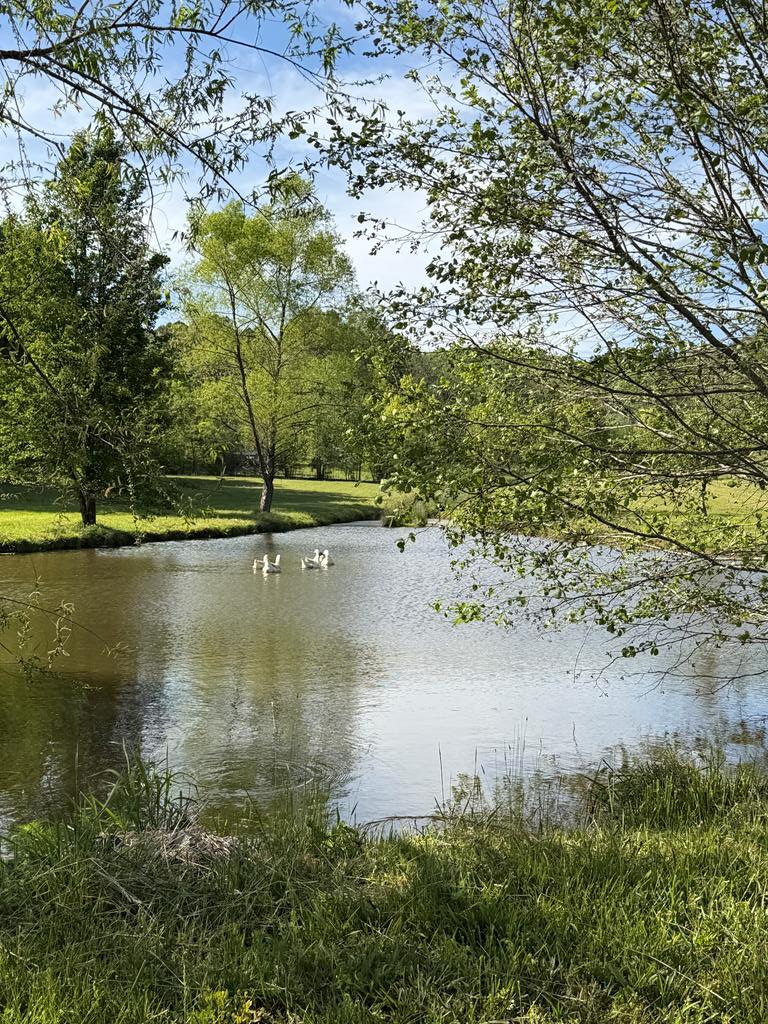 0 Barnett Road Murphy, NC 28906 - Photo 1 of 9 a view of a lake