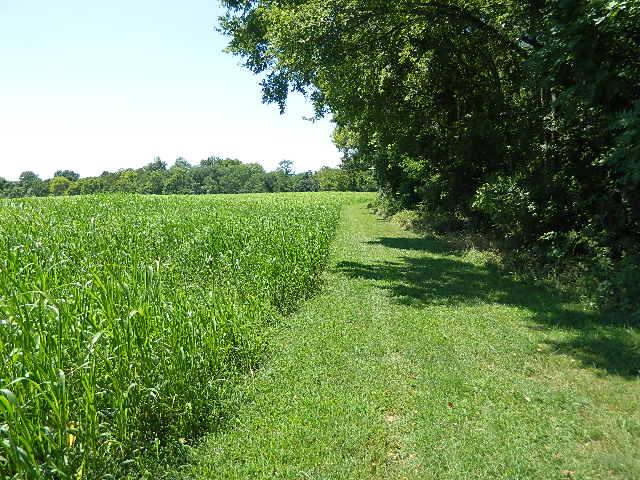 6867 Choctaw Road College Grove, TN 37046 - Photo 2 of 8 Gallery Image 2
