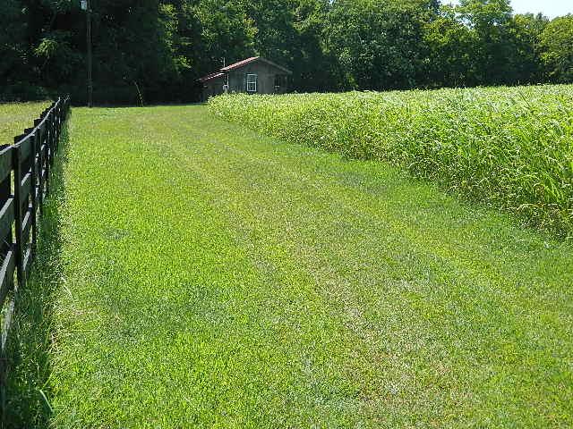 6867 Choctaw Road College Grove, TN 37046 - Photo 5 of 8 Gallery Image 5