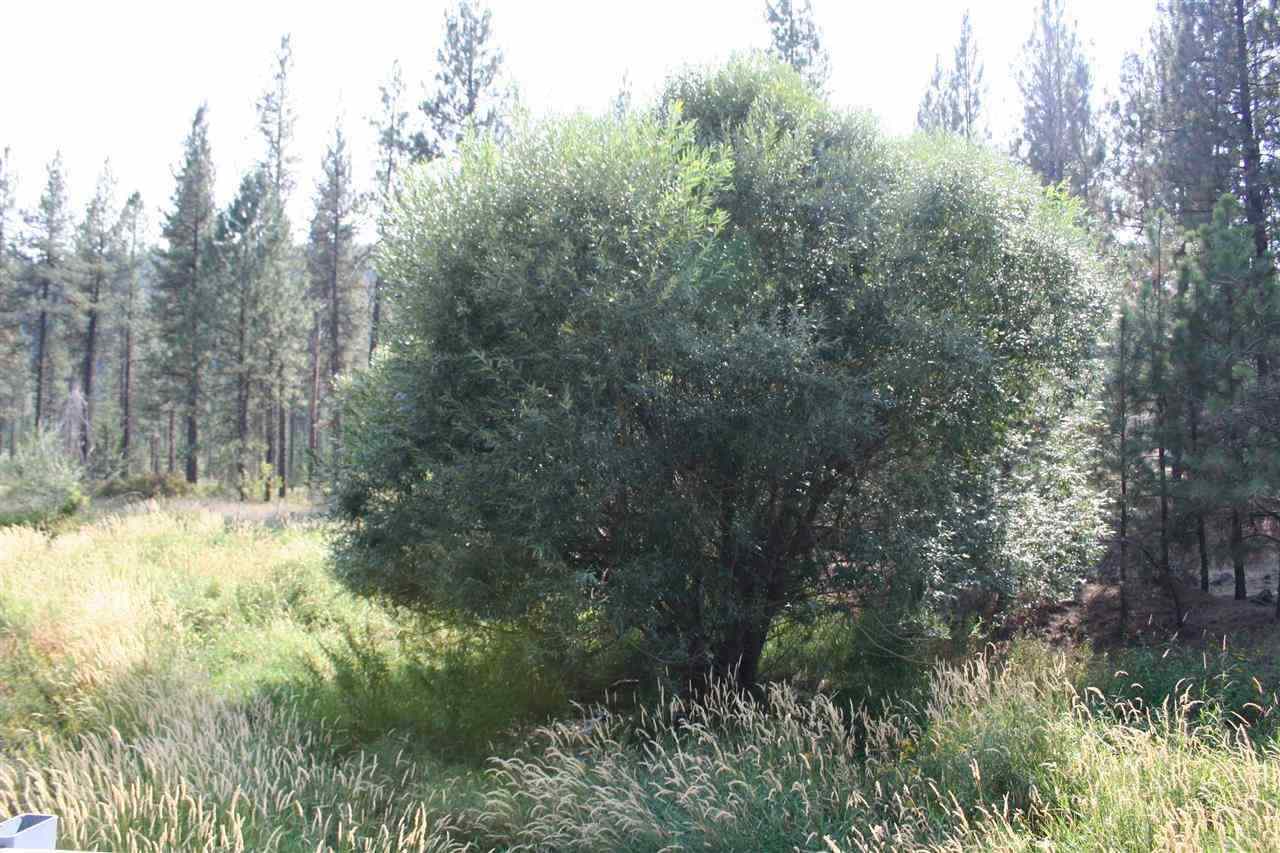 5007 North Garfield Road Spokane, WA 99224 - Photo 12 of 18
