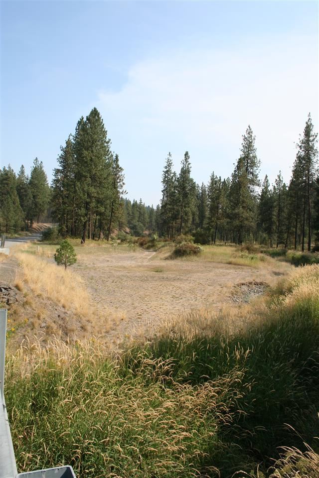 5007 North Garfield Road Spokane, WA 99224 - Photo 13 of 18