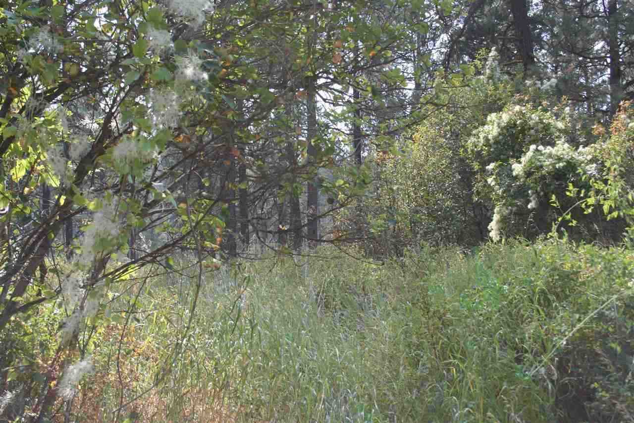 5007 North Garfield Road Spokane, WA 99224 - Photo 18 of 18