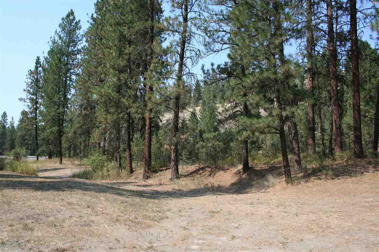 5007 North Garfield Road Spokane, WA 99224 - Photo 4 of 18