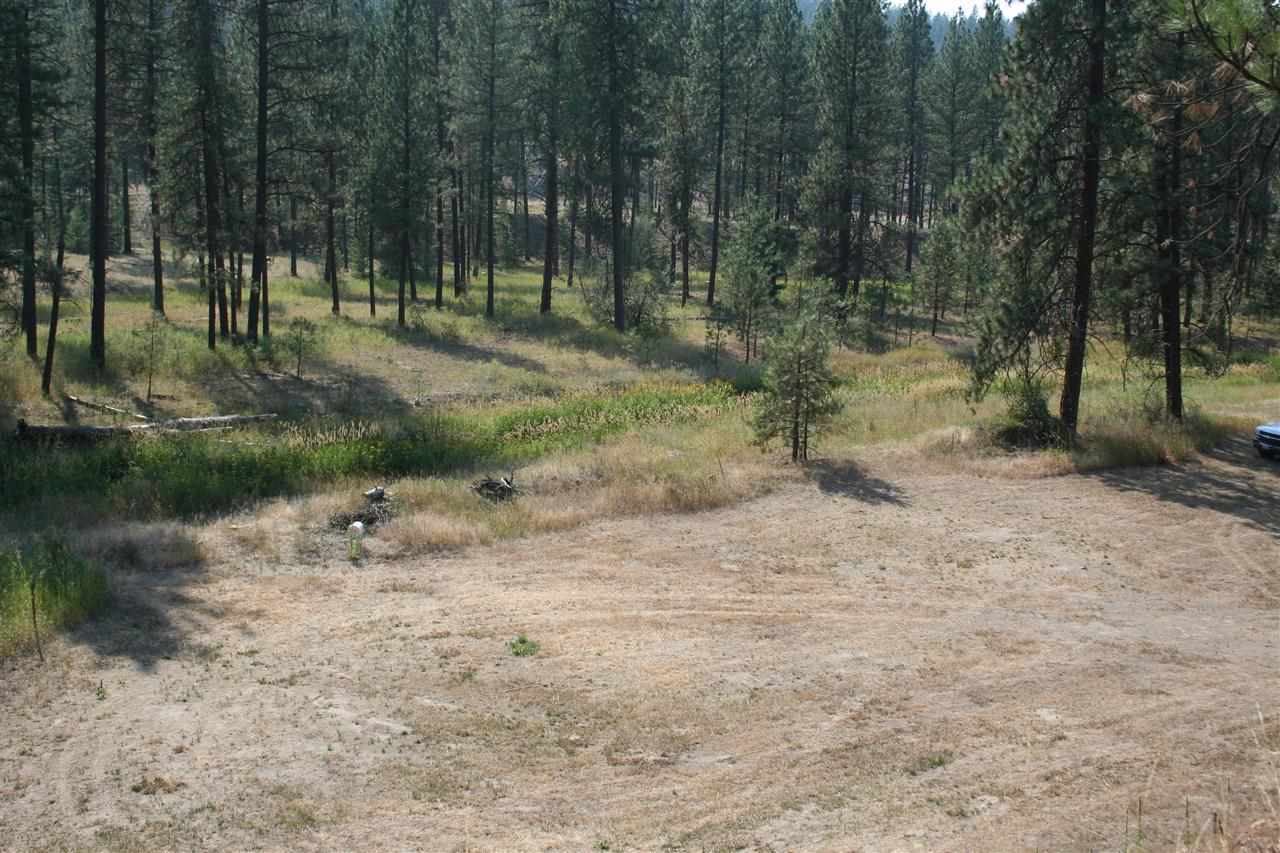 5007 North Garfield Road Spokane, WA 99224 - Photo 8 of 18