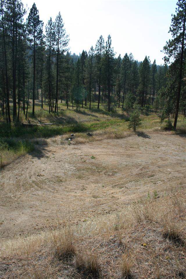 5007 North Garfield Road Spokane, WA 99224 - Photo 9 of 18