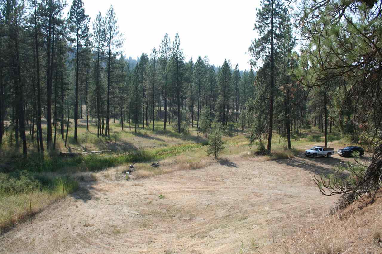 5007 North Garfield Road Spokane, WA 99224 - Photo 10 of 18