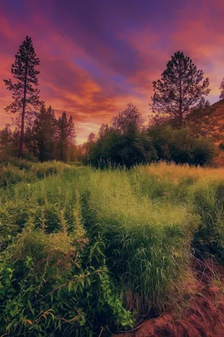 $125,000 | 38010 Redwine Canyon Road North, Lincoln, WA 99147