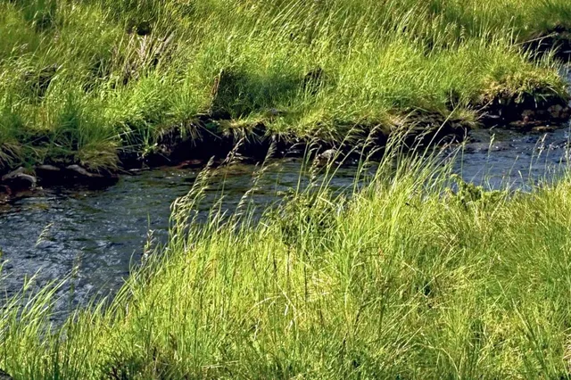 $125,000 | 38010 Redwine Canyon Road North, Lincoln, WA 99147