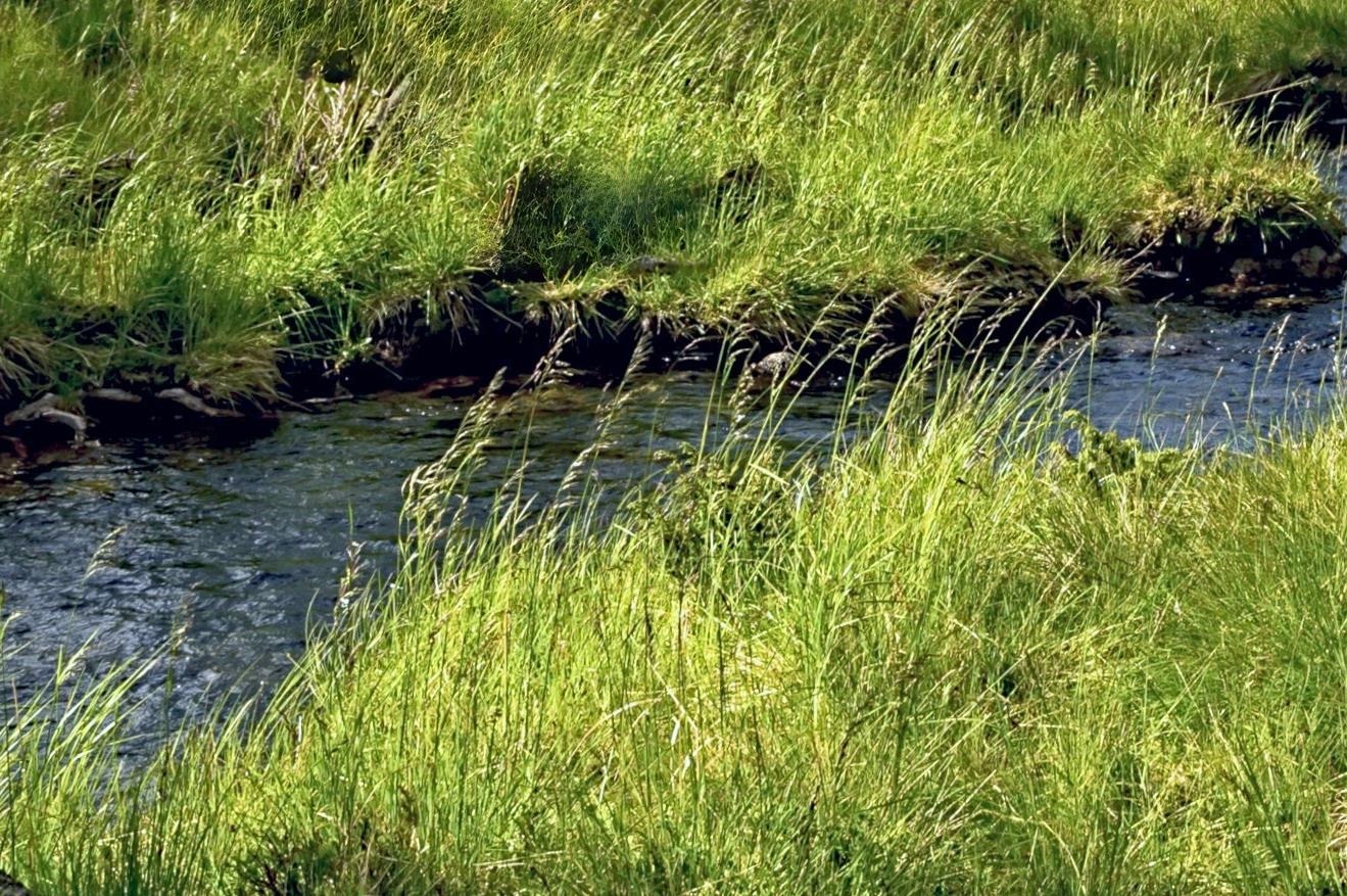 38010 Redwine Canyon Road North Lincoln, WA 99147 - Photo 3 of 15