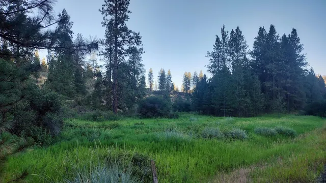 $125,000 | 38010 Redwine Canyon Road North, Lincoln, WA 99147