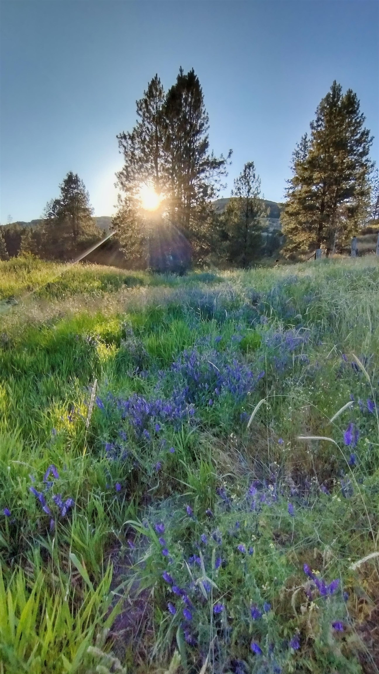38010 Redwine Canyon Road North Lincoln, WA 99147 - Photo 5 of 15