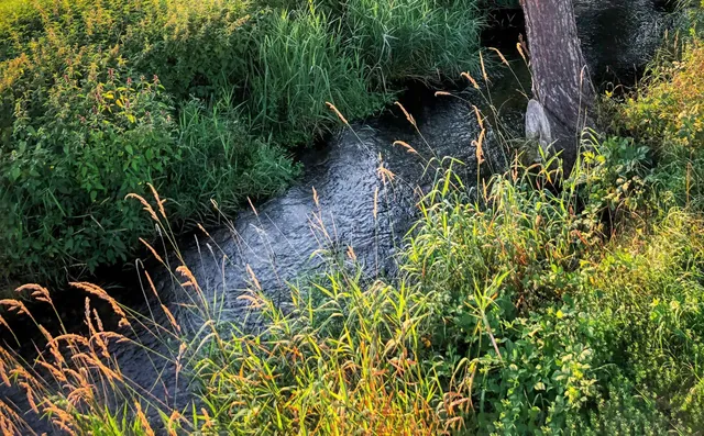 $125,000 | 38010 Redwine Canyon Road North, Lincoln, WA 99147