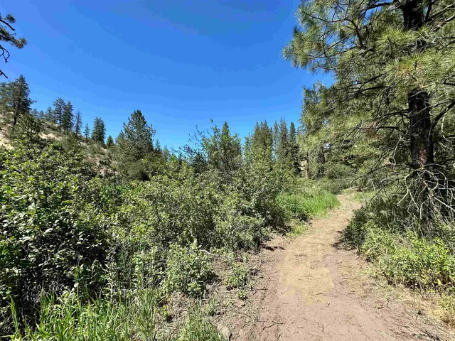 $125,000 | 38010 Redwine Canyon Road North, Lincoln, WA 99147