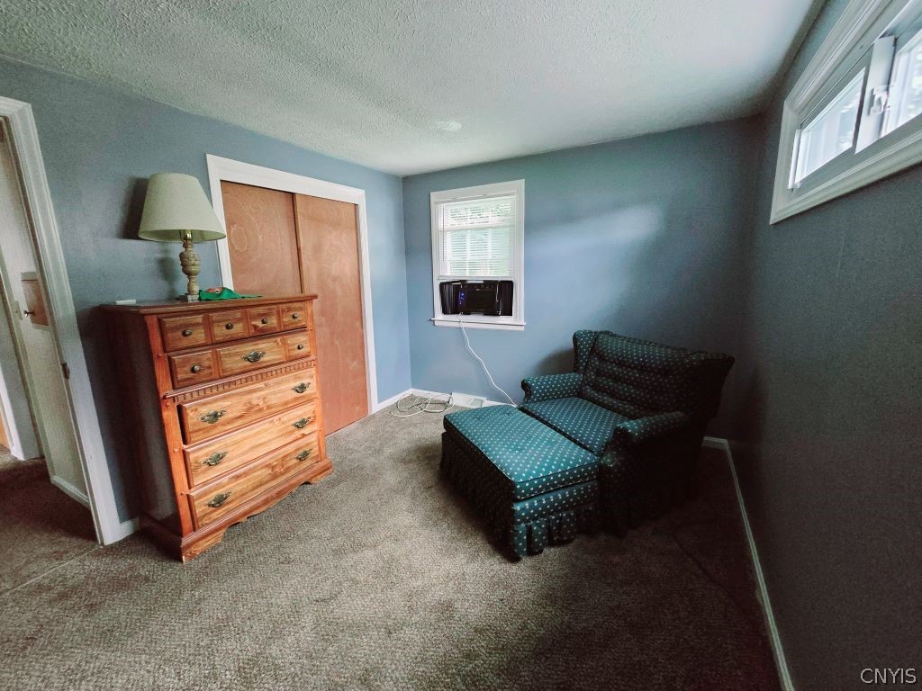 120 Bramley Drive Camillus, NY 13031 - Photo 11 of 27 1st Floor Bedroom