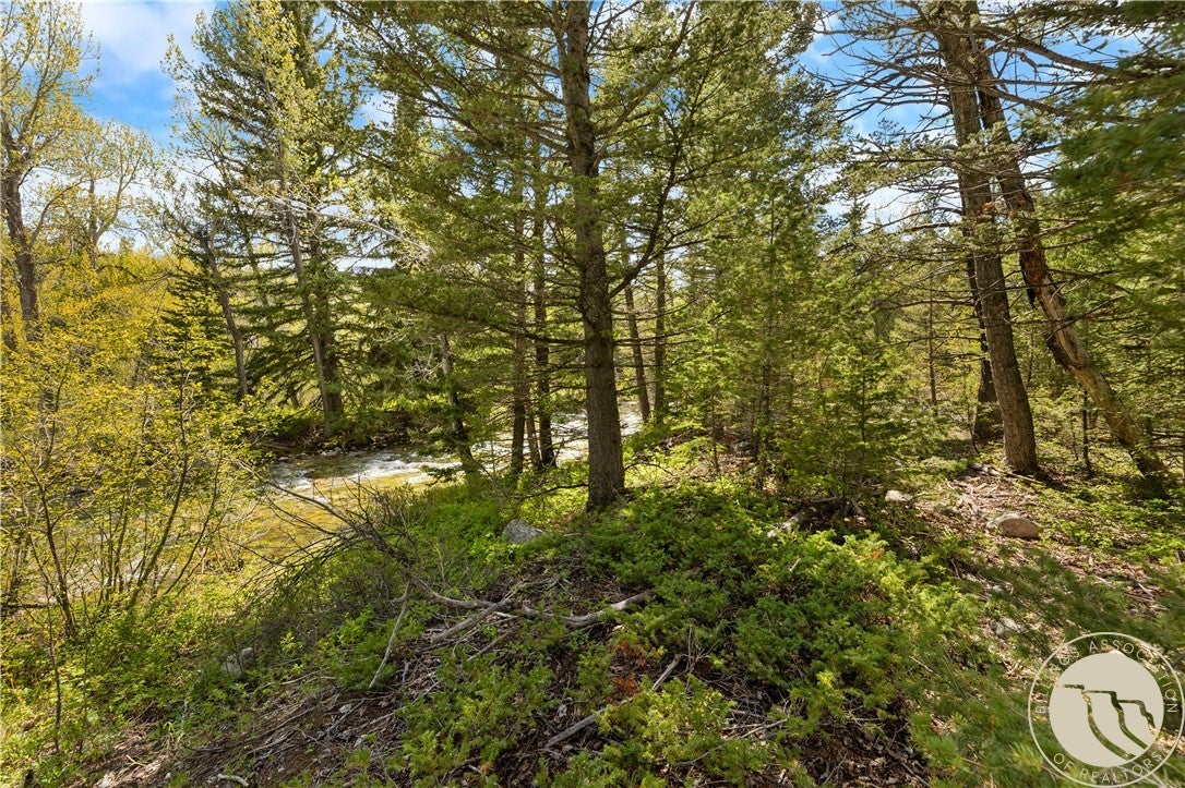 29 Water Works Road Red Lodge, MT 59068 - Photo 8 of 16 Gallery Image 8