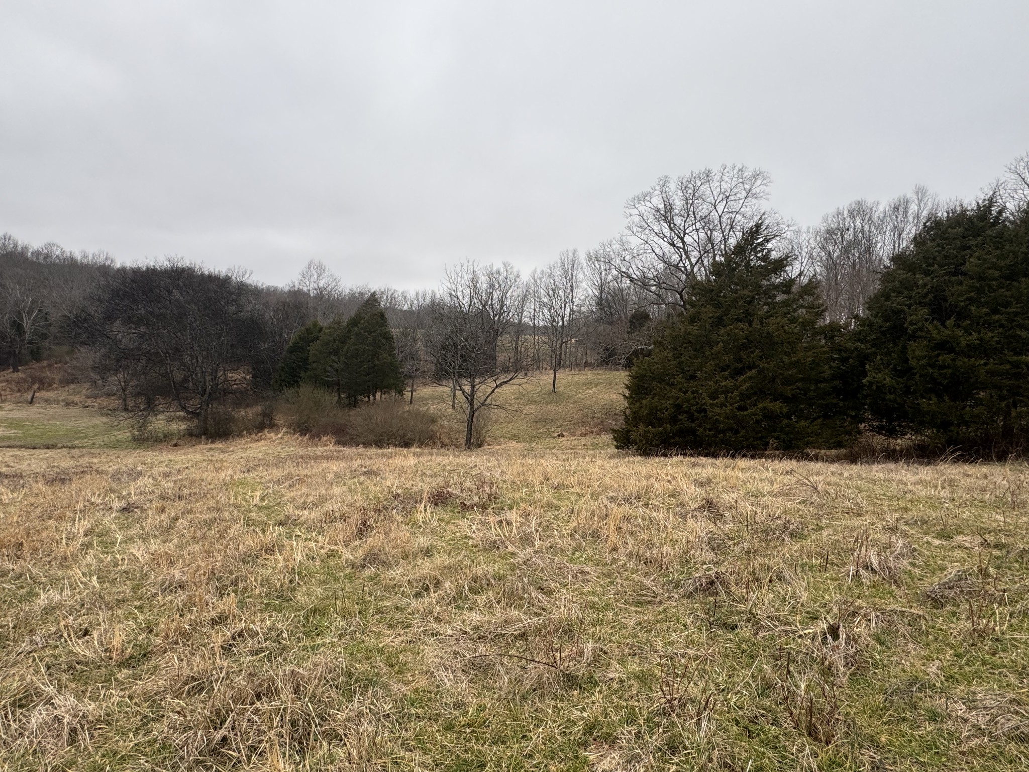 2250 Indian Creek Road McEwen, TN 37101 - Photo 3 of 8 a view of a yard