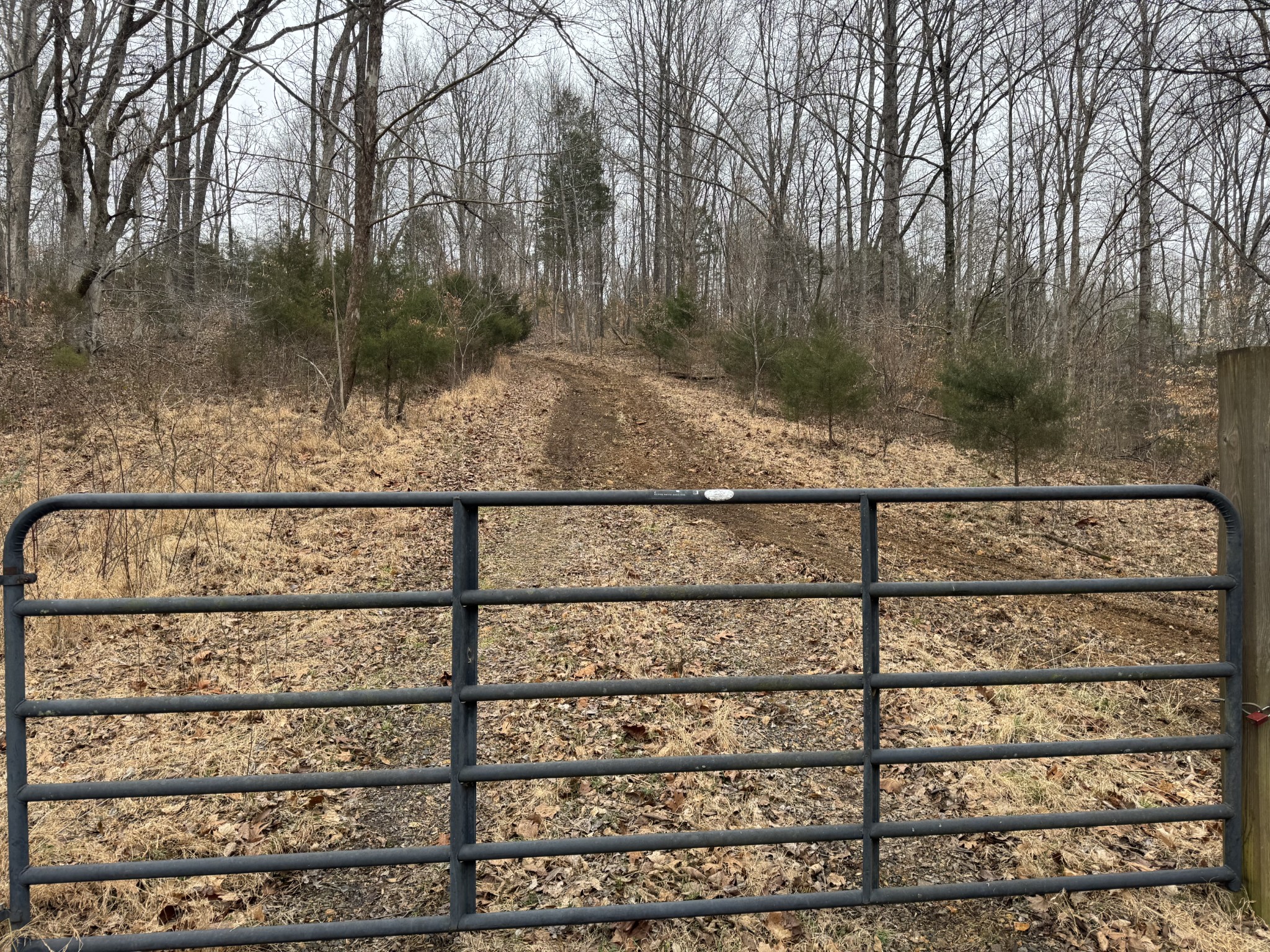 2250 Indian Creek Road McEwen, TN 37101 - Photo 6 of 8