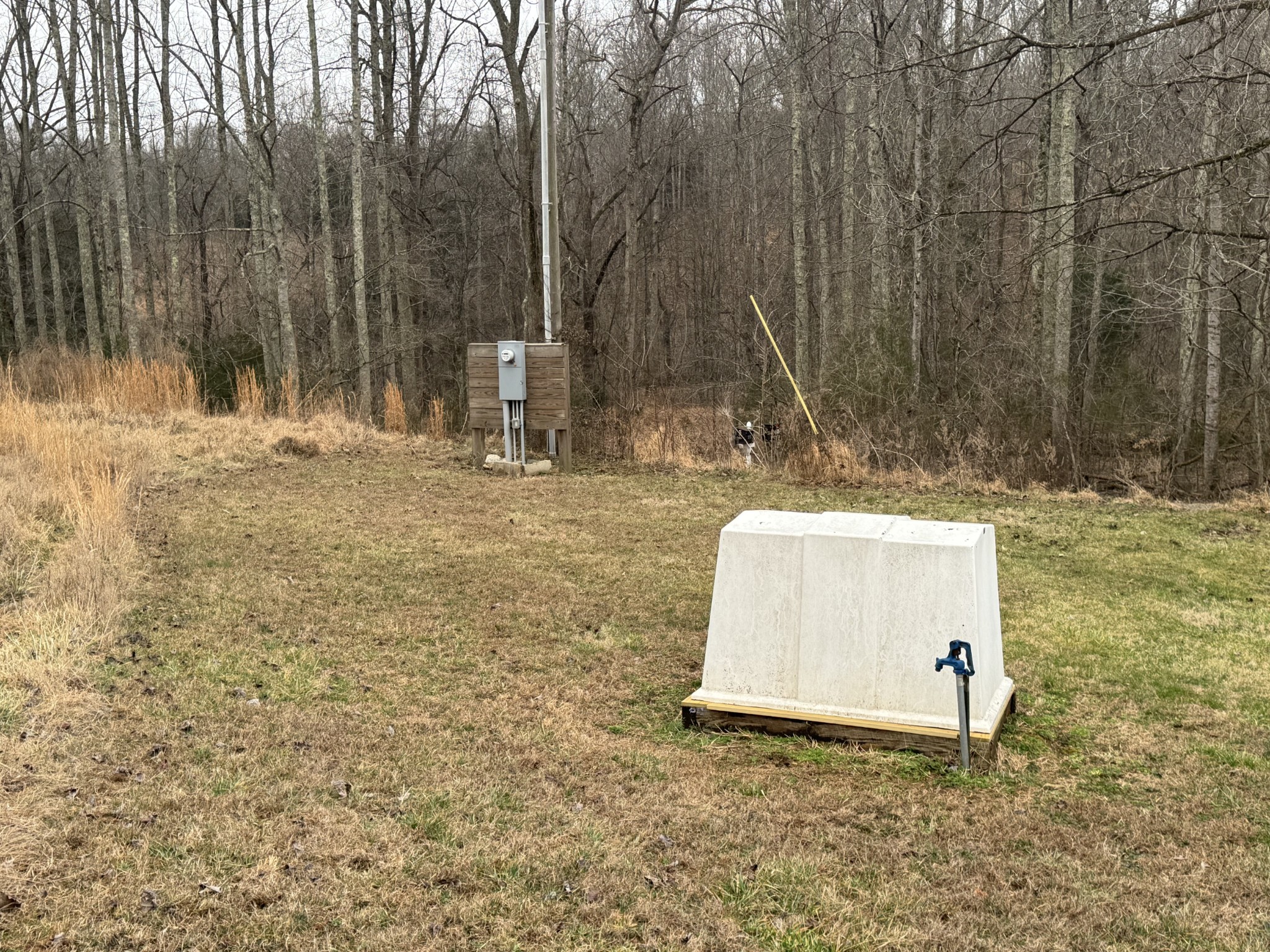 2250 Indian Creek Road McEwen, TN 37101 - Photo 8 of 8 a white house that has a tree in front of it