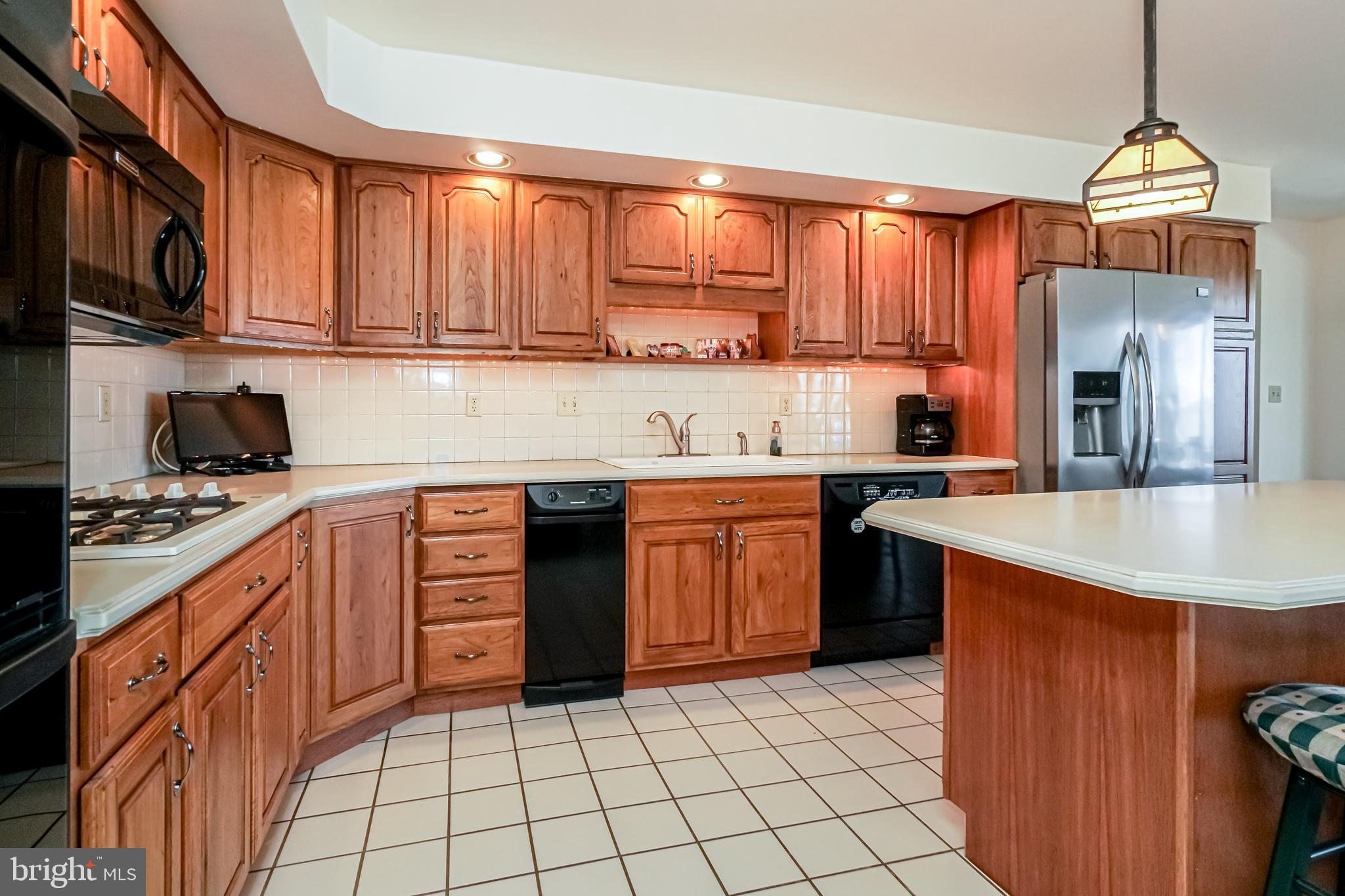 1735 Elk Forest Road Elkton, MD 21921 - Photo 11 of 43 Gourmet kitchen with island