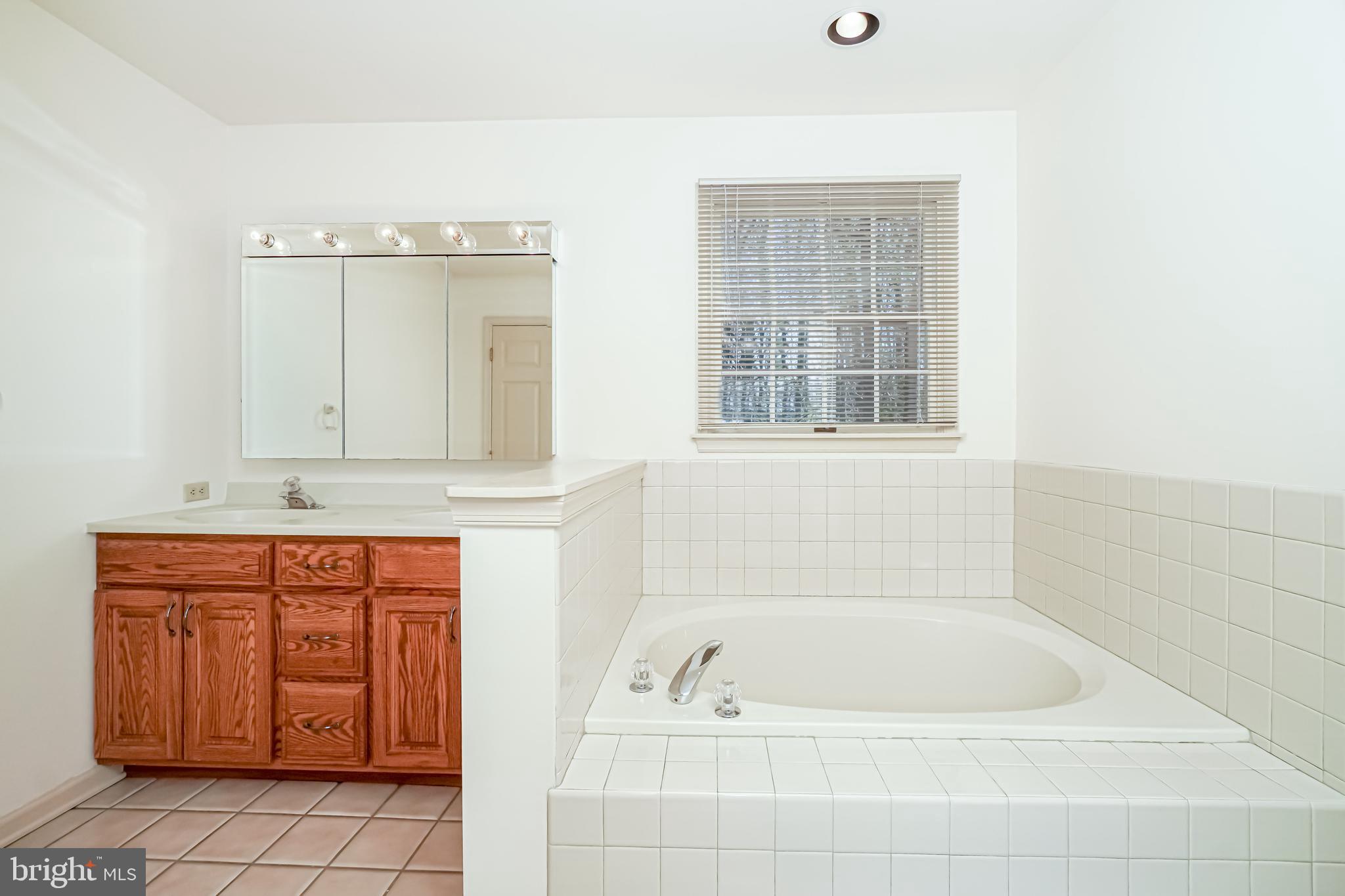 1735 Elk Forest Road Elkton, MD 21921 - Photo 20 of 43 Master bath with soaking tub and dual vanity