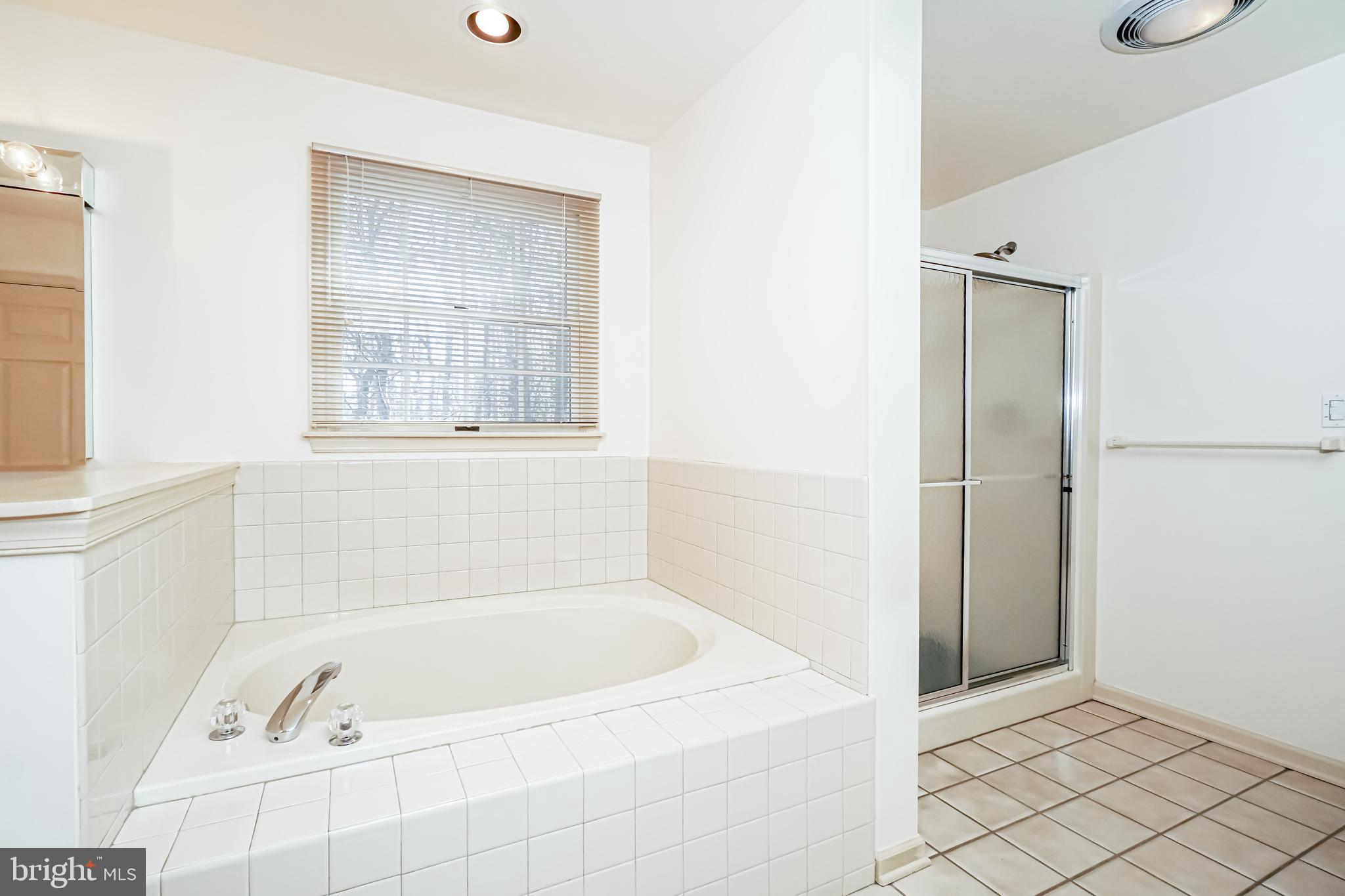 1735 Elk Forest Road Elkton, MD 21921 - Photo 21 of 43 Shower and soaking tub in main level master bath