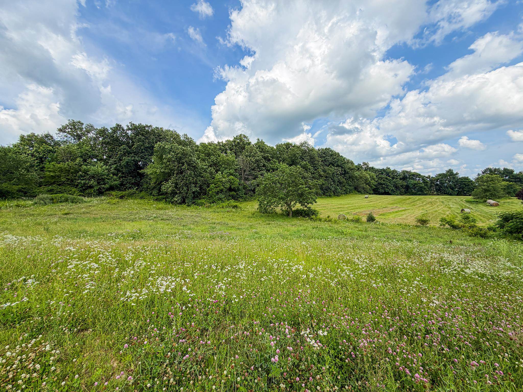E4150 Tuckertown Road Loganville, WI 53943 - Photo 84 of 90