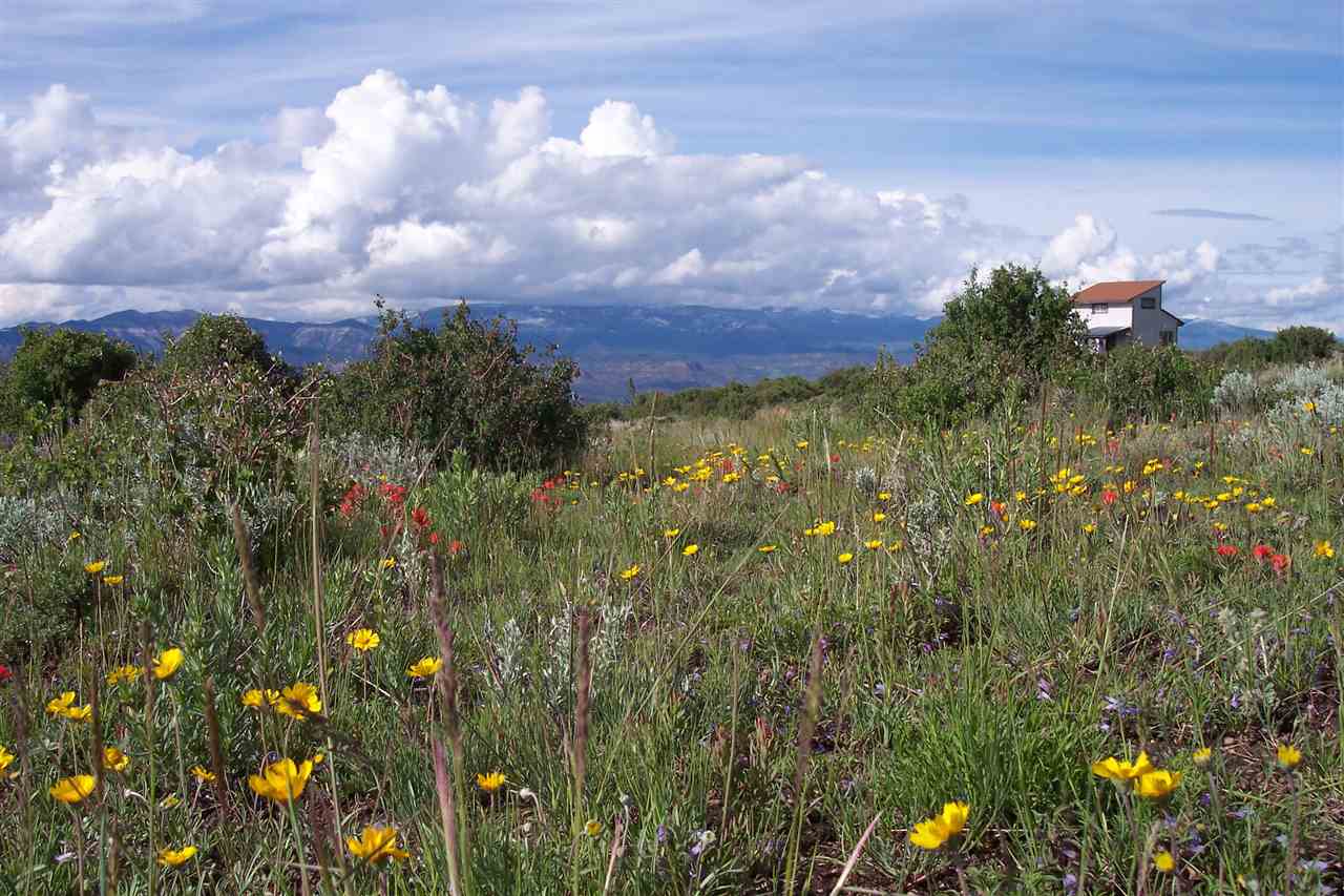 8353 Bull Basin Road Mesa, CO 81643 - Photo 1 of 23 Gallery Image 1