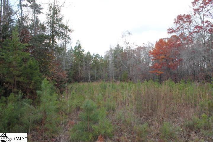 0 Beeks Road, Unit LOT 32 Belton, SC 29627 - Photo 20 of 34