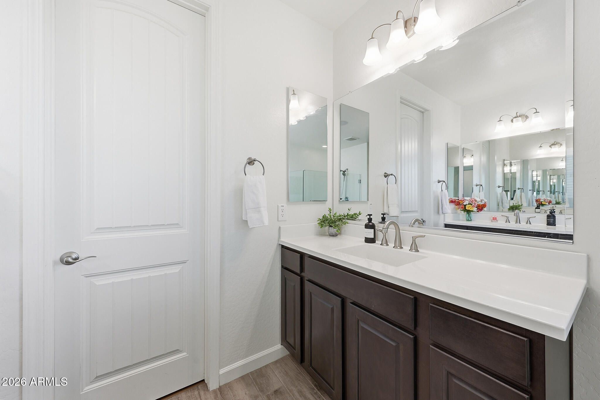 22133 East Russet Road Queen Creek, AZ 85142 - Photo 36 of 61 a bathroom with a sink and a mirror