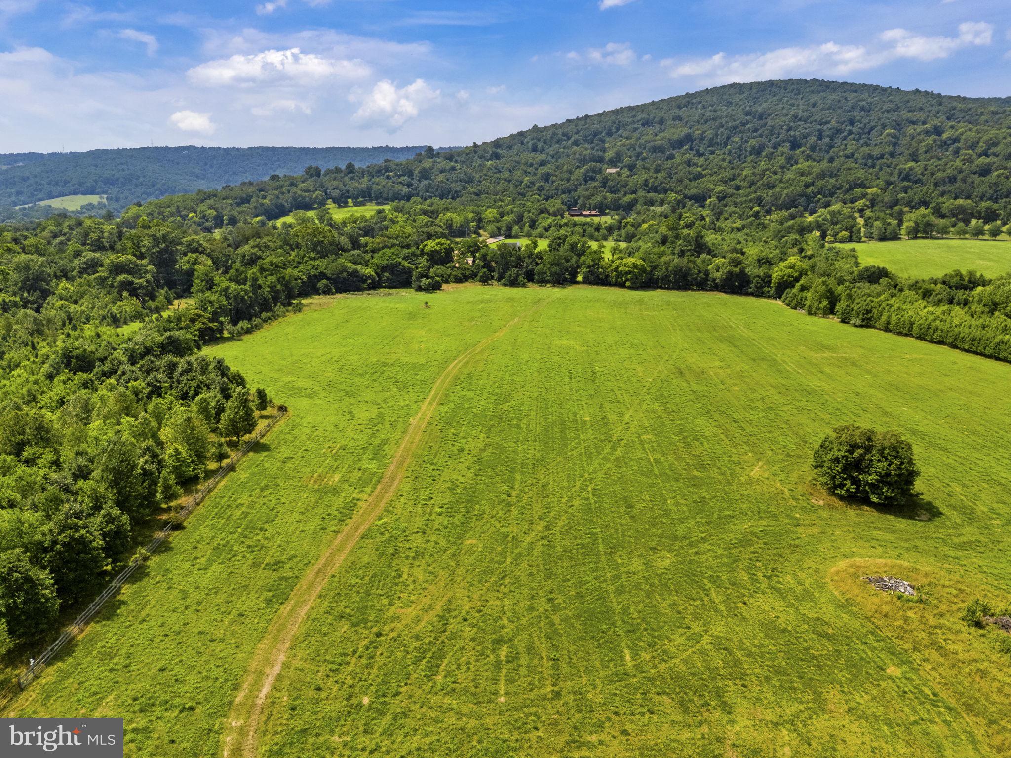 0 Austin Grove Road Bluemont, VA 20135 - Photo 6 of 43 Gallery Image 6