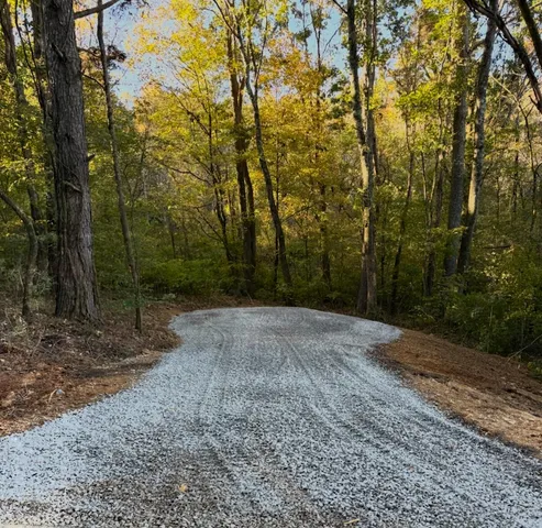 a view of a yard with trees in the background