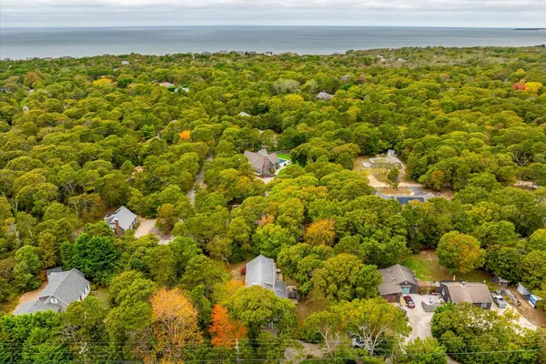 a view of a bunch of trees and bushes
