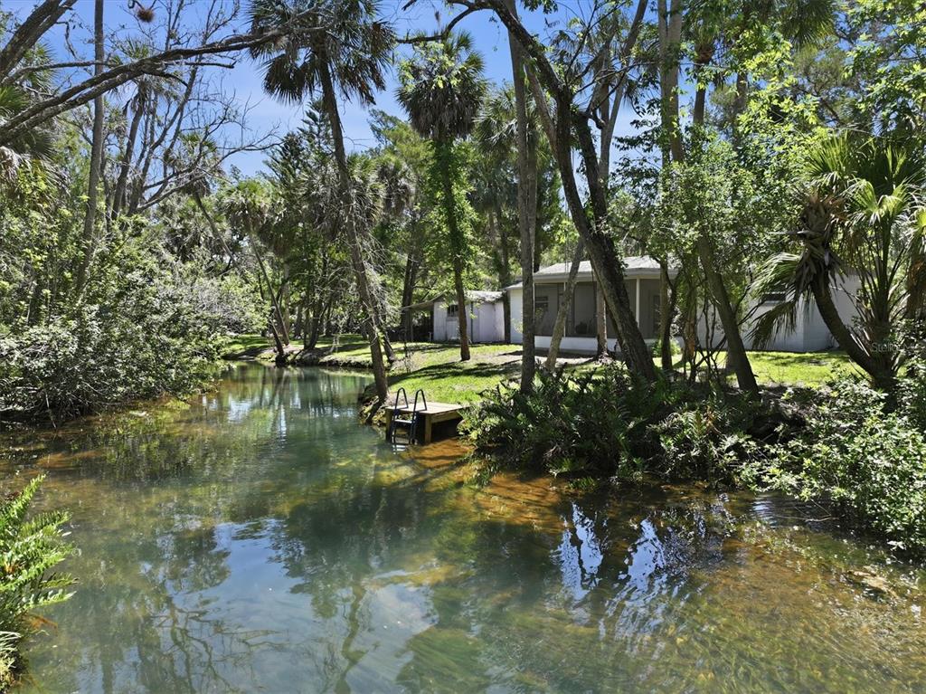 6244 Colony Circle Weeki Wachee, FL 34607 - Photo 1 of 60 a view of swimming pool with a yard and large trees