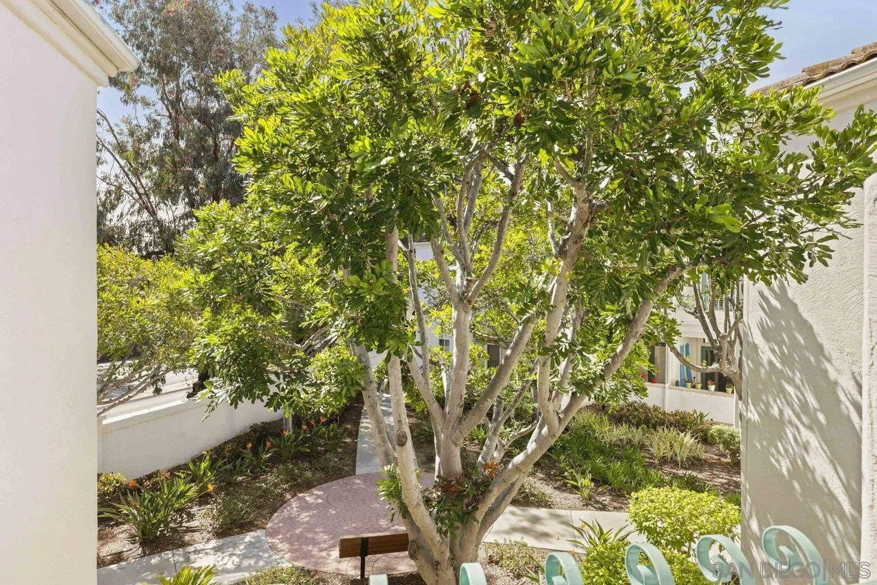 3365 Genoa Way, Unit 140 Oceanside, CA 92056 - Photo 18 of 32 a picture of a tree