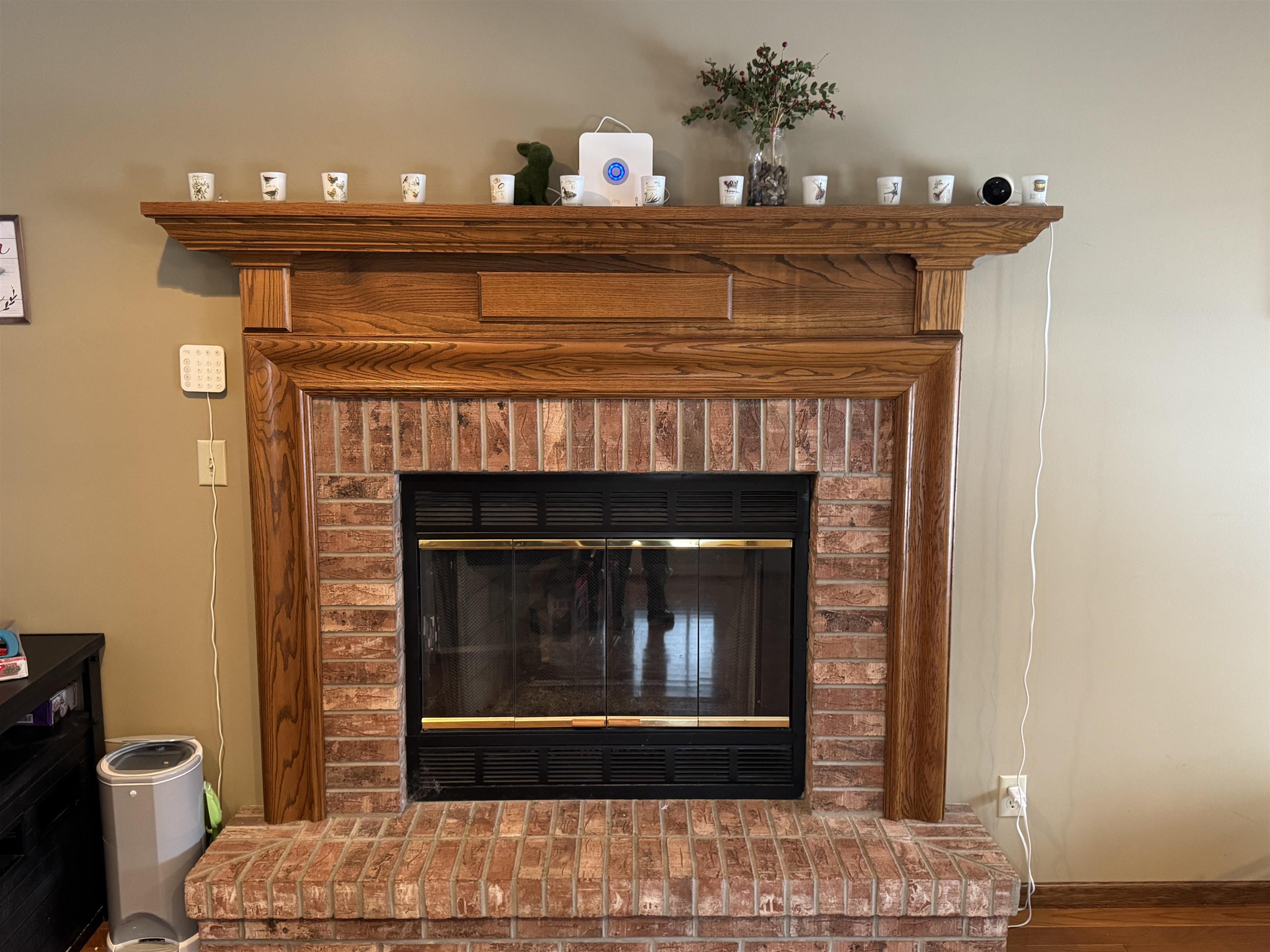 1401 Carrie Avenue Rochelle, IL 61068 - Photo 3 of 13 a fireplace with a clock on it
