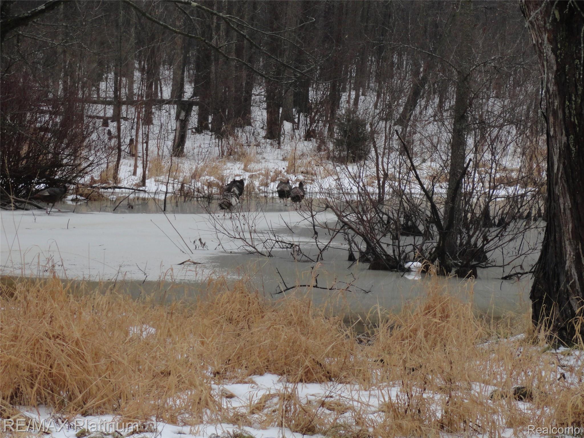 3396 East Baldwin Road Grand Blanc, MI 48439 - Photo 14 of 16 Snowy landscape