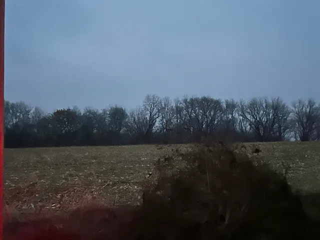 a view of an outdoor space and a yard