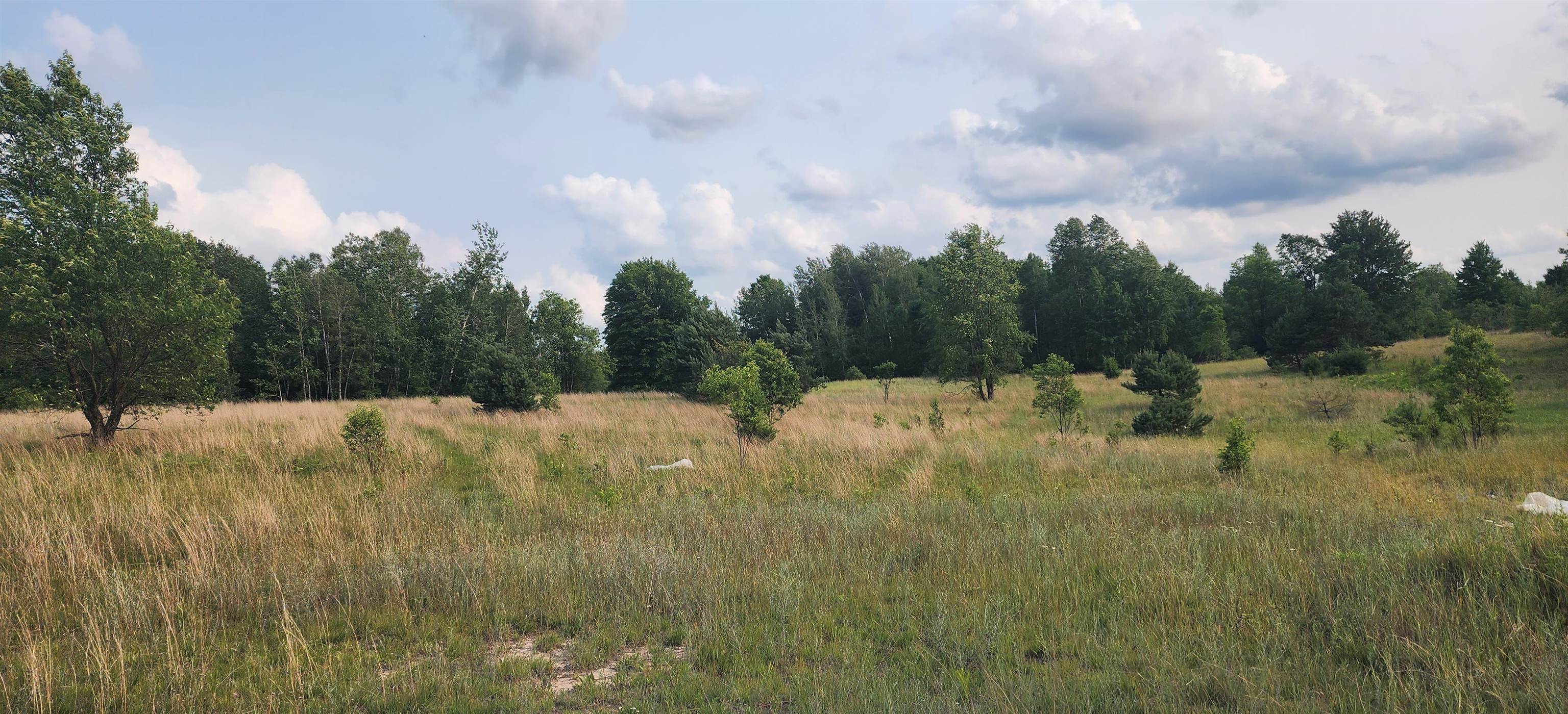 2467 Inman Road Southwest South Boardman, MI 49680 - Photo 35 of 37