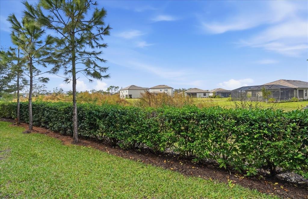 14740 Lyla Terrace Lakewood Ranch, FL 34211 - Photo 31 of 68 a view of a garden with a building in the background